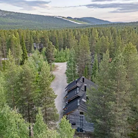 Aurora Nest By Aavalevi *