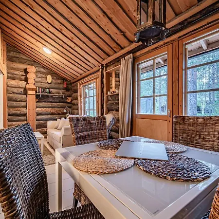 Aurora Nest By Aavalevi