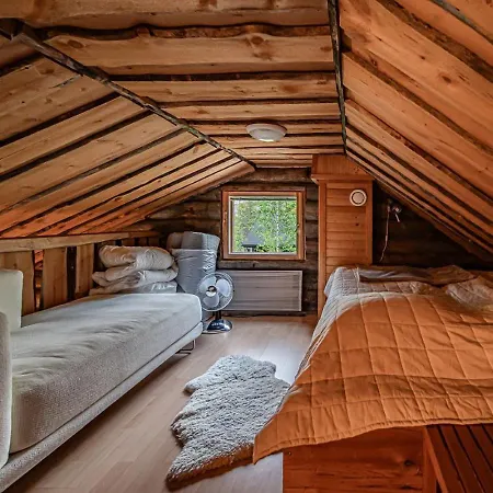 Aurora Nest By Aavalevi *