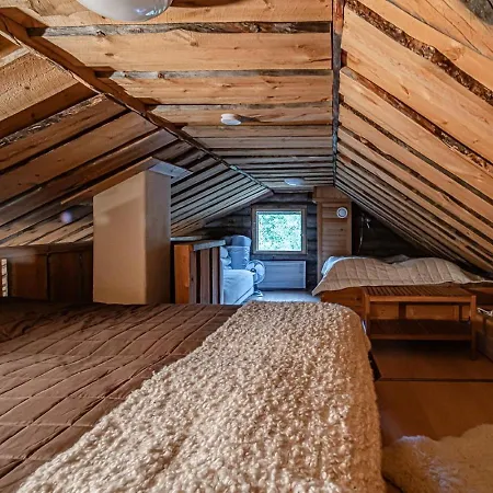 Aurora Nest By Aavalevi Levi